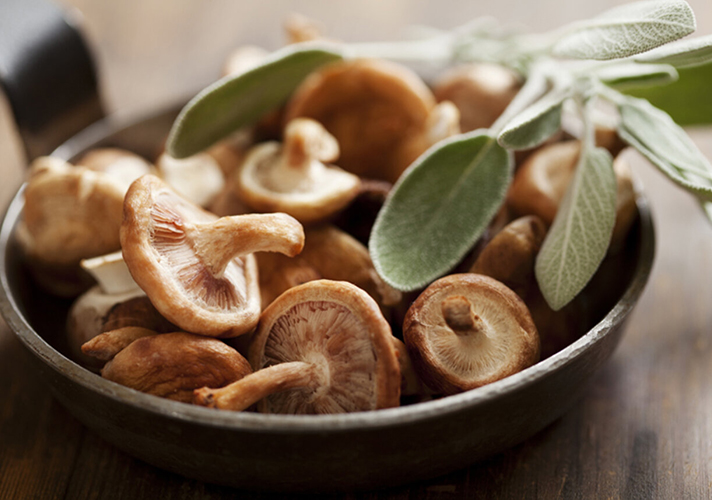 Teicneolaíocht próiseála muisiriún shiitake IQF